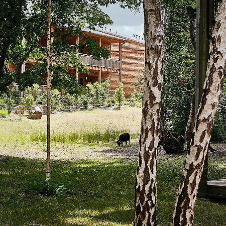 Hotel Des Trois Hiboux Plailly Zewnętrze zdjęcie